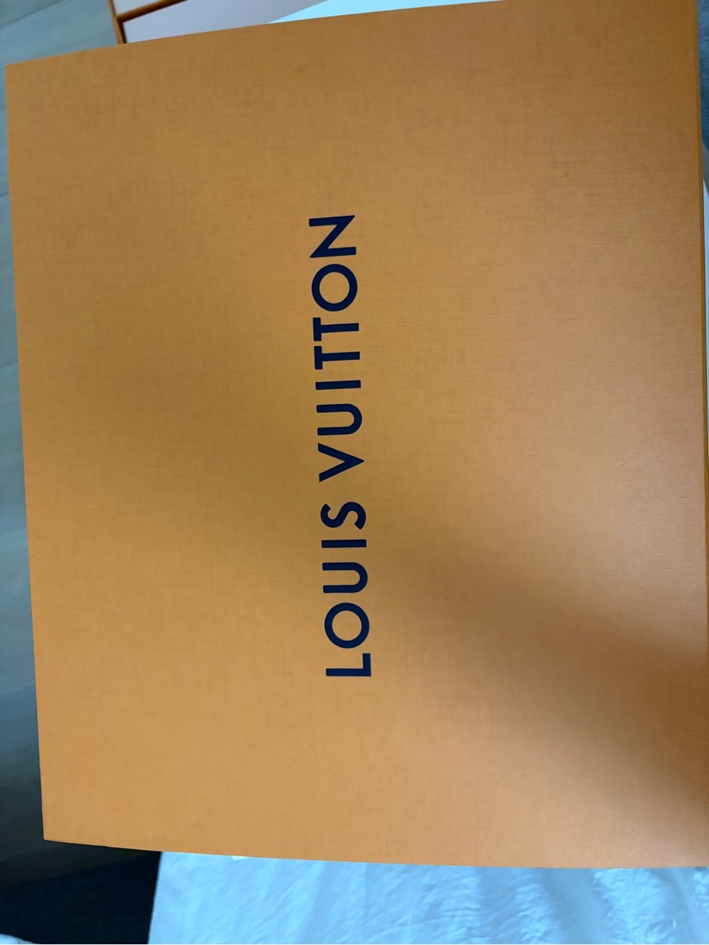 Louis Vuitton storage box large
